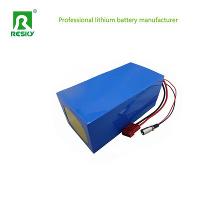 Buy 48V 20ah 1000W Lithium Battery Pack For Electric Vehicle online manufacture